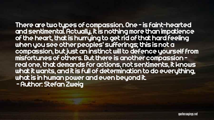 Compassion For Yourself Quotes By Stefan Zweig