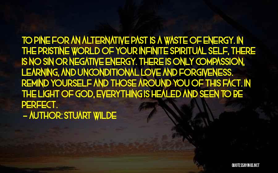 Compassion For Yourself Quotes By Stuart Wilde