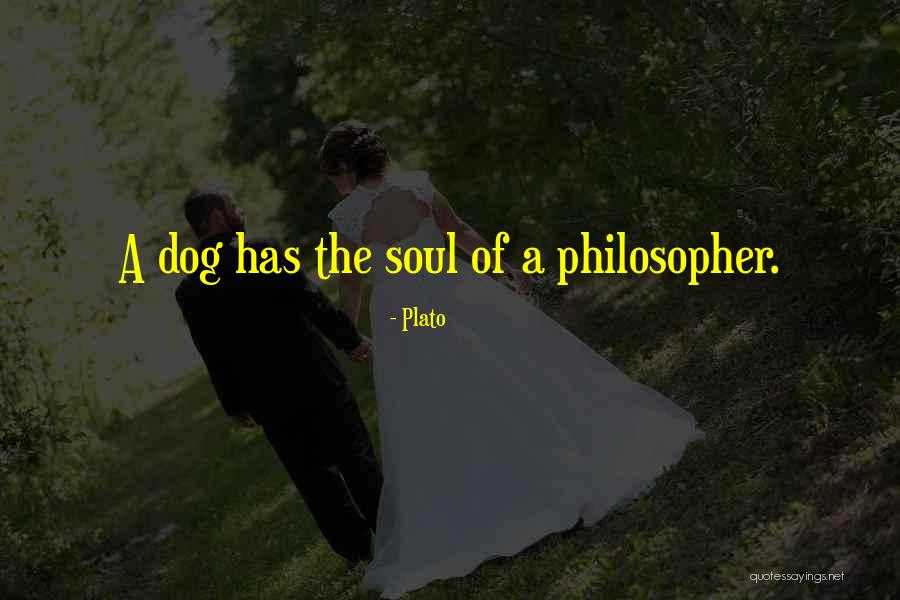 Compassion Love Quotes By Plato Compassion Love Quotes By Plato