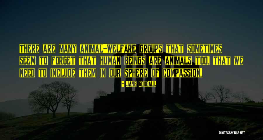 Compassion To Animals Quotes By Jane Goodall Compassion To Animals Quotes By Jane Goodall