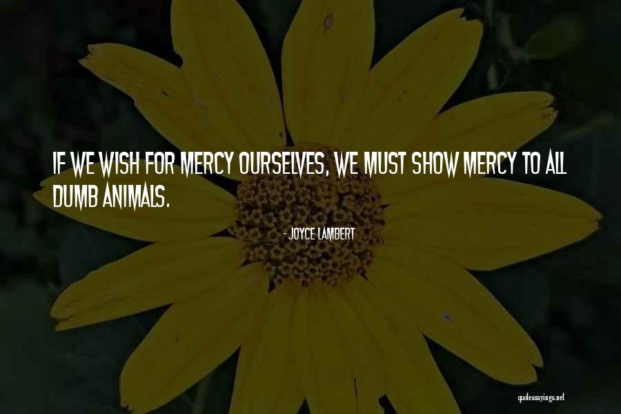 Compassion To Animals Quotes By Joyce Lambert Compassion To Animals Quotes By Joyce Lambert