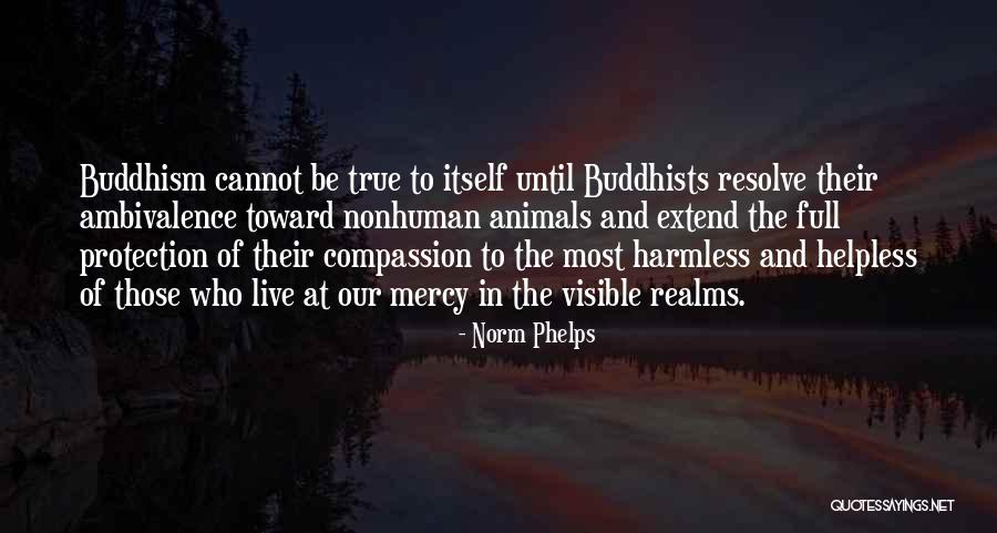 Compassion To Animals Quotes By Norm Phelps Compassion To Animals Quotes By Norm Phelps