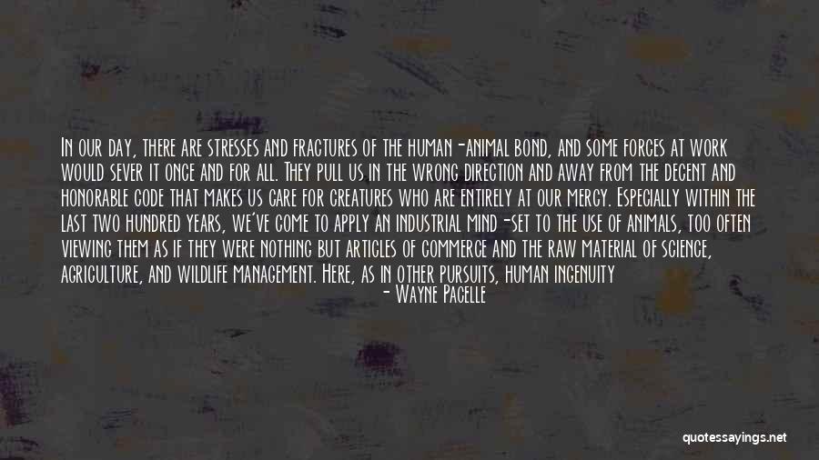 Compassion To Animals Quotes By Wayne Pacelle Compassion To Animals Quotes By Wayne Pacelle