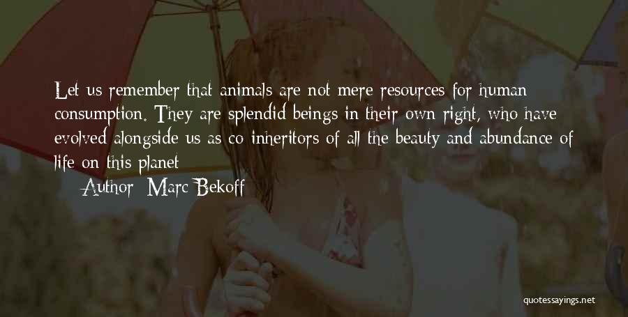 Compassion Vegan Quotes By Marc Bekoff