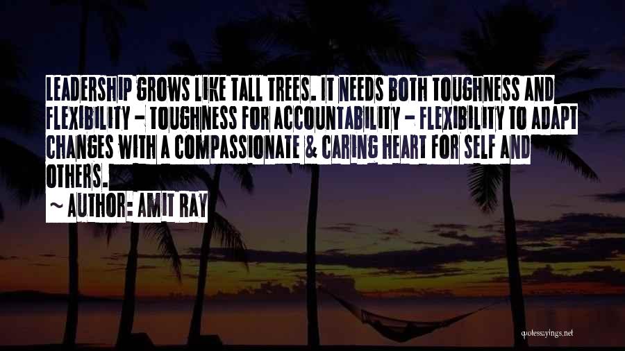 Compassionate Heart Quotes By Amit Ray