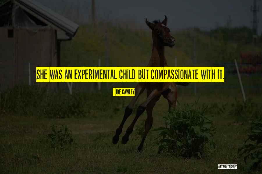 Compassionate Leadership Quotes By Joe Cawley Compassionate Leadership Quotes By Joe Cawley