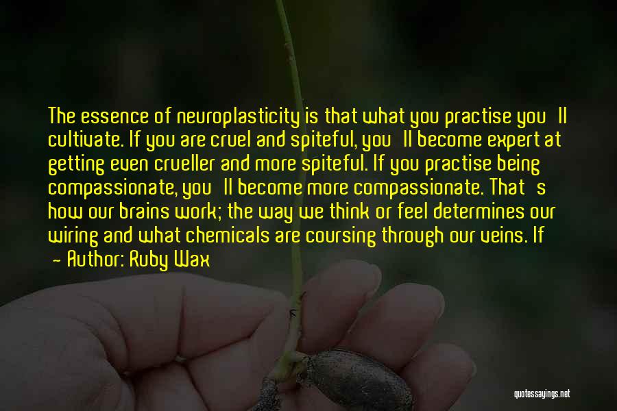 Compassionate Quotes By Ruby Wax