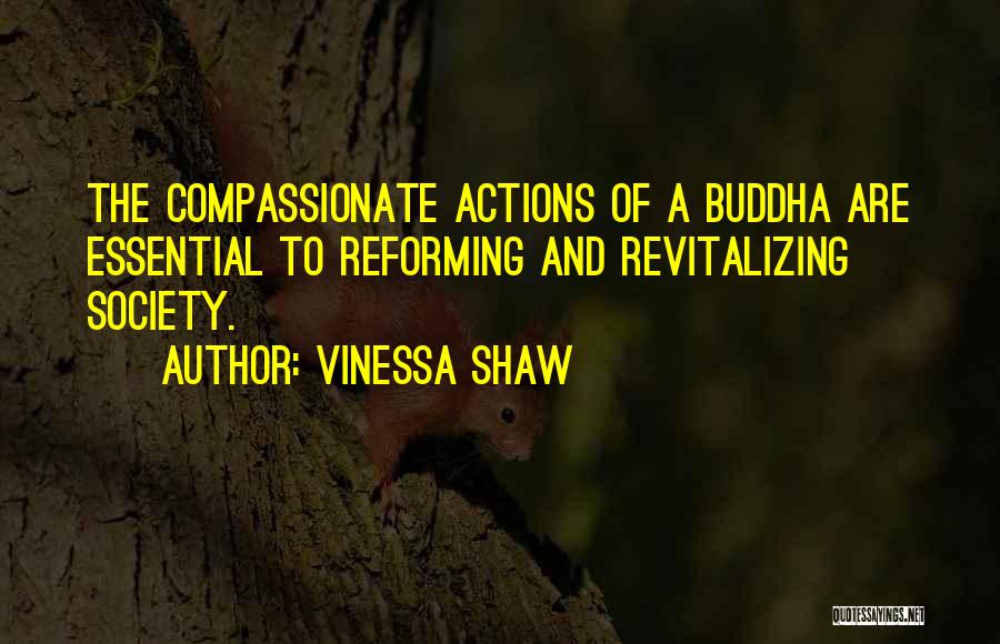 Compassionate Quotes By Vinessa Shaw