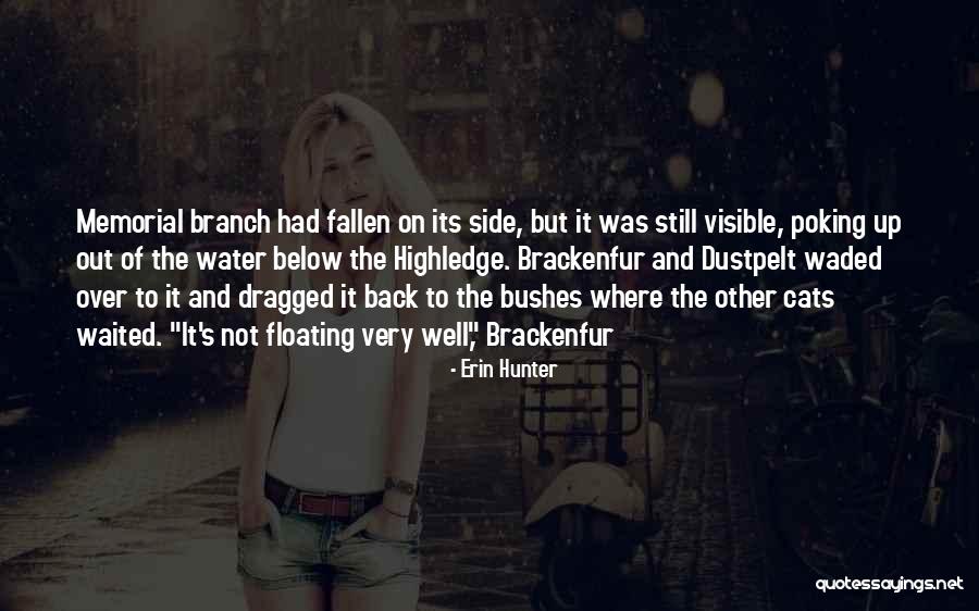 Compassions Quotes By Erin Hunter Compassions Quotes By Erin Hunter