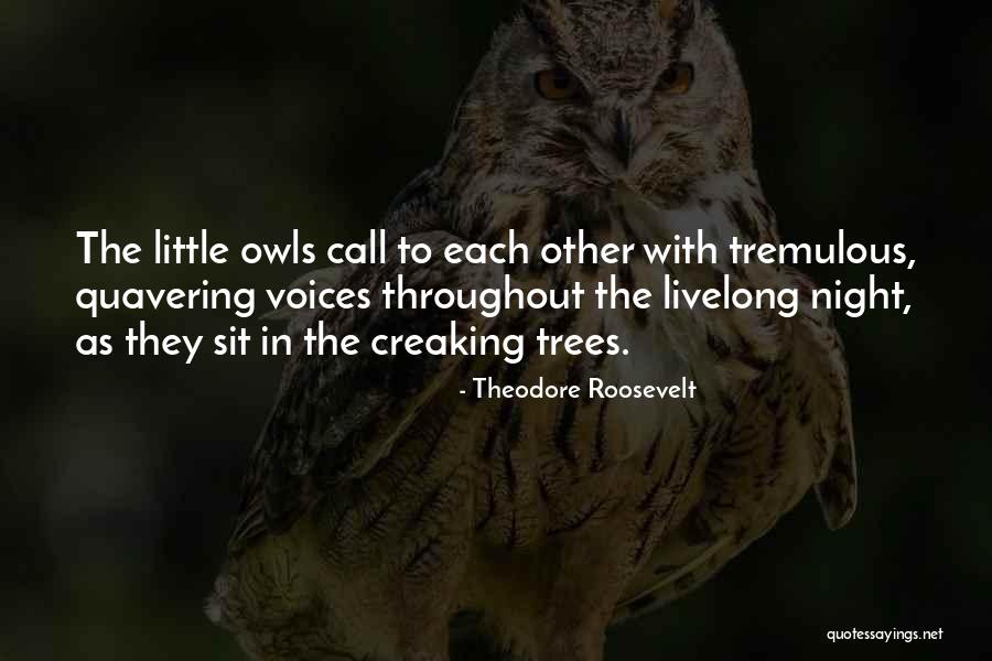 Compassions Quotes By Theodore Roosevelt Compassions Quotes By Theodore Roosevelt