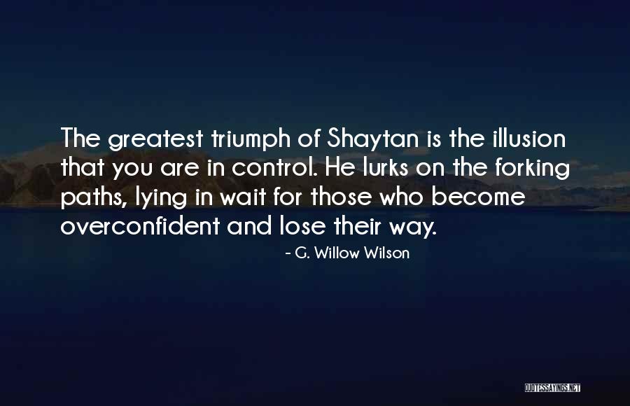 Compelir Quotes By G. Willow Wilson Compelir Quotes By G. Willow Wilson