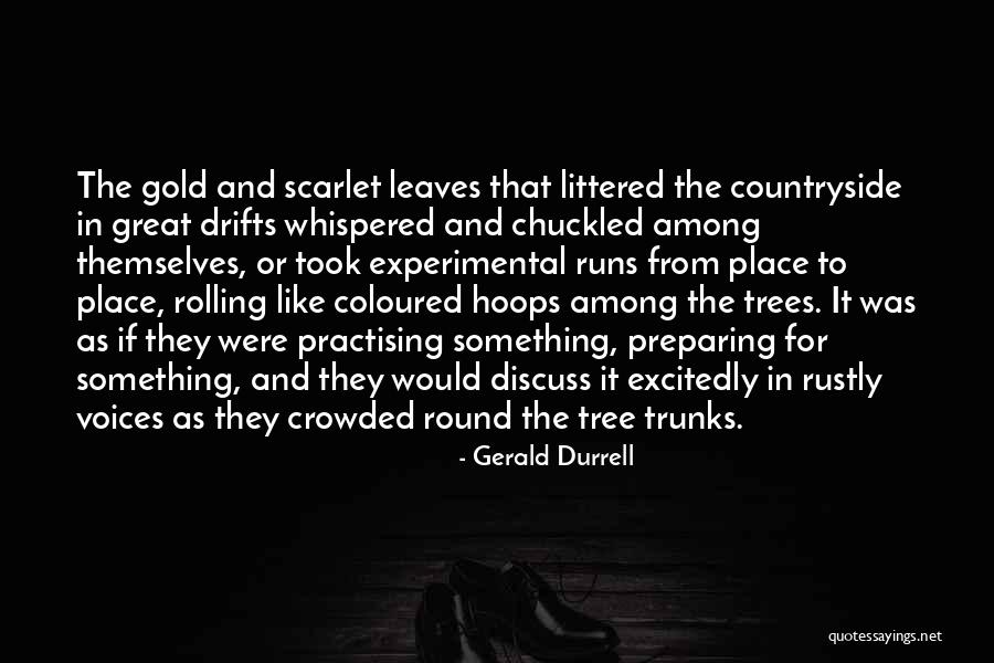Compelling Define Quotes By Gerald Durrell Compelling Define Quotes By Gerald Durrell