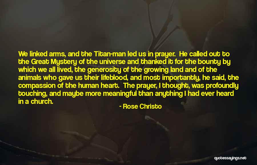 Compendium Of The Social Doctrine Quotes By Rose Christo Compendium Of The Social Doctrine Quotes By Rose Christo