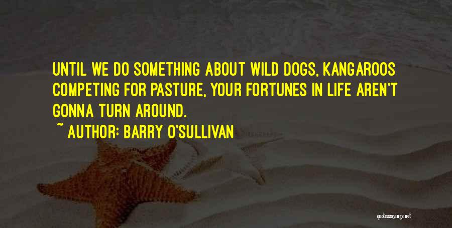 Competing In Life Quotes By Barry O'Sullivan