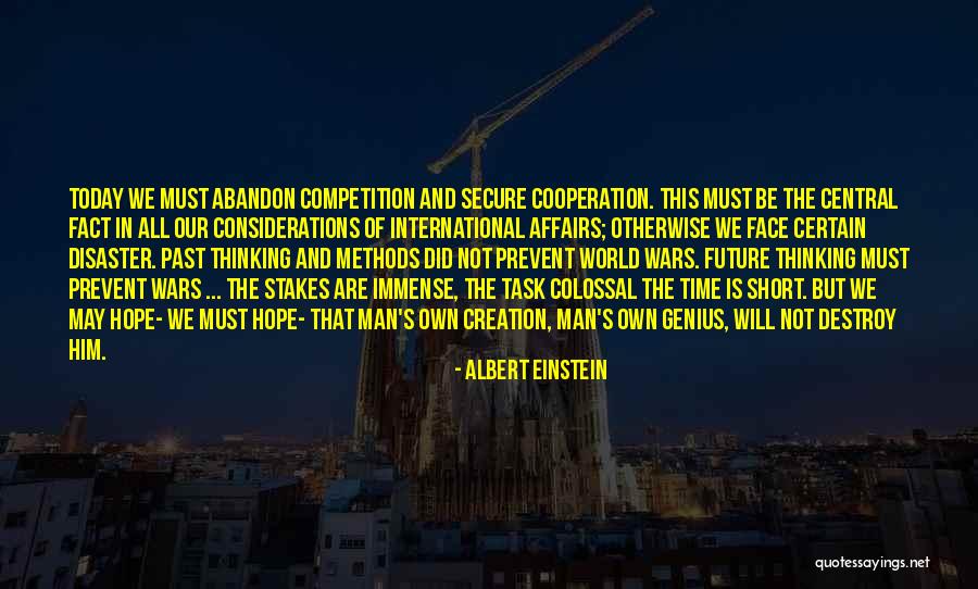 Competition And Cooperation Quotes By Albert Einstein