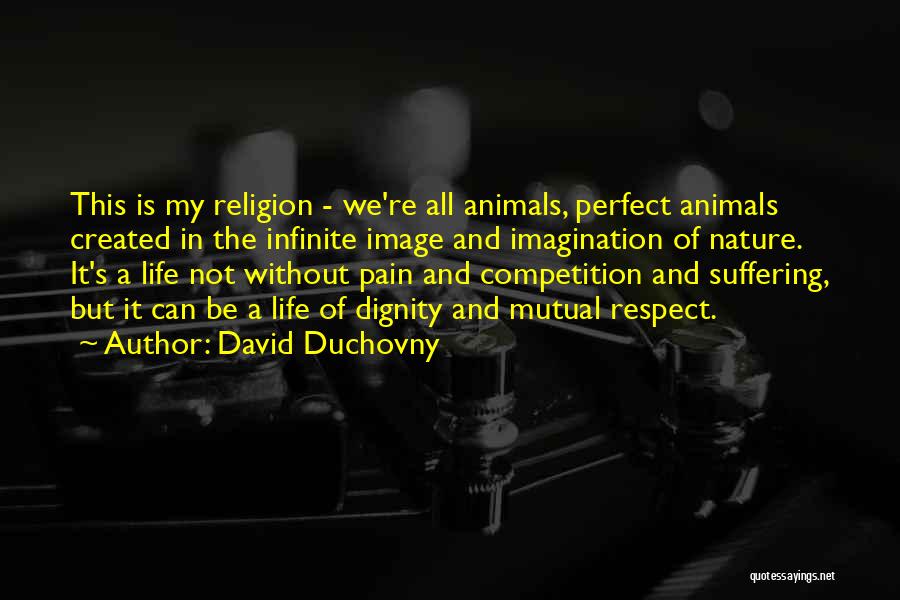 Competition In Life Quotes By David Duchovny