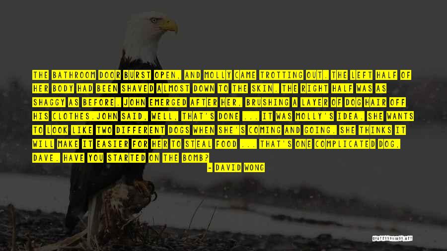 Compiled Programming Quotes By David Wong Compiled Programming Quotes By David Wong