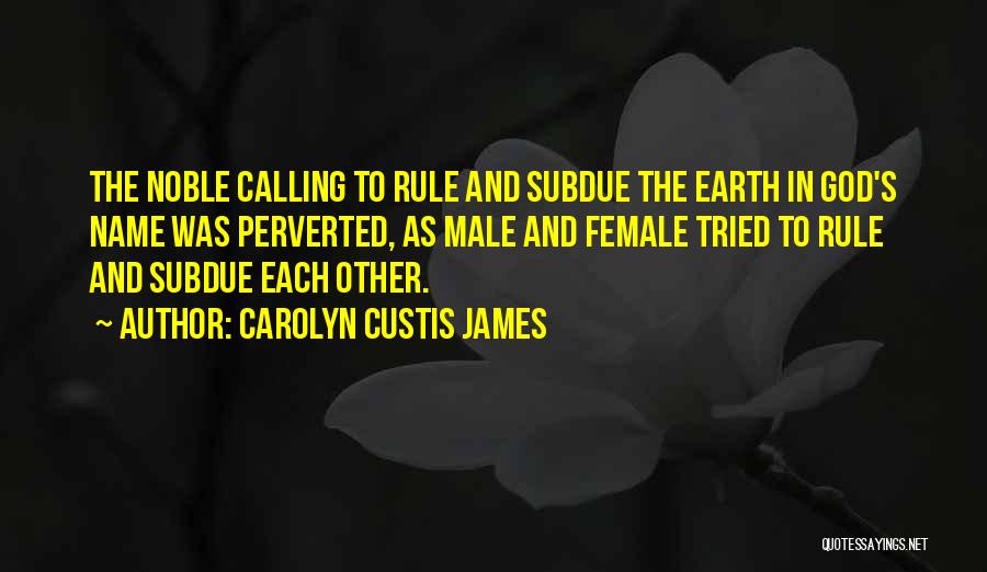 Complementarianism Quotes By Carolyn Custis James