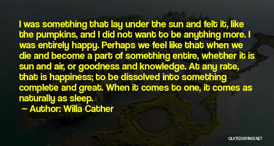 Complete Happiness Quotes By Willa Cather