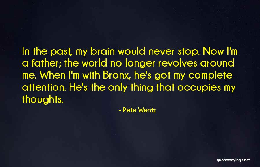 Complete Me Quotes By Pete Wentz