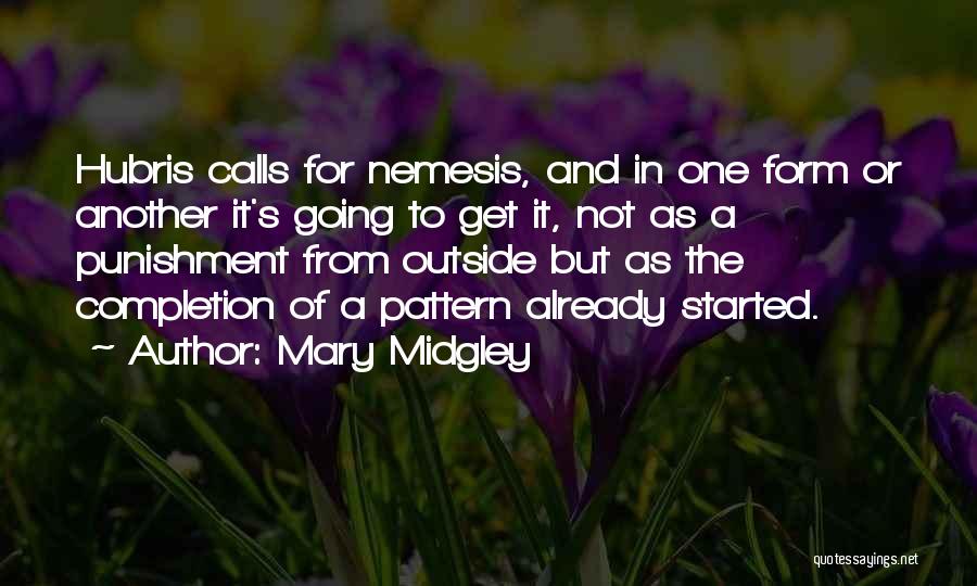 Completion Quotes By Mary Midgley