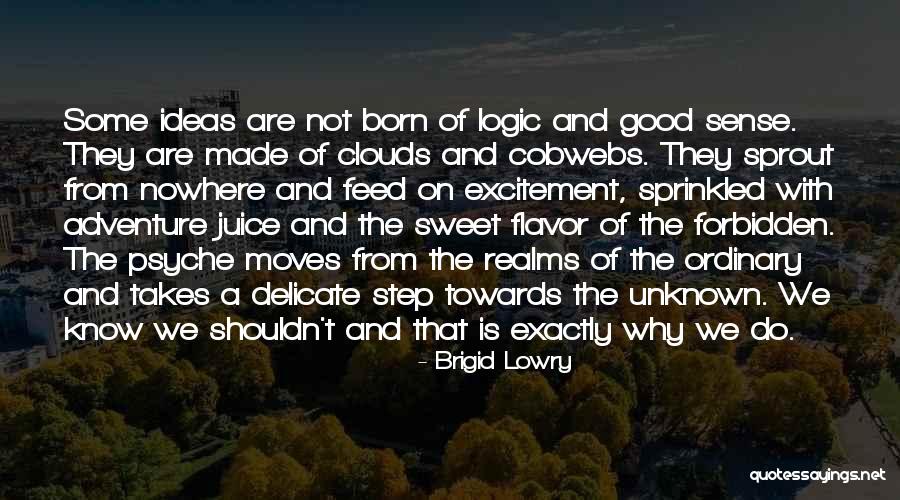 Completos Quotes By Brigid Lowry Completos Quotes By Brigid Lowry