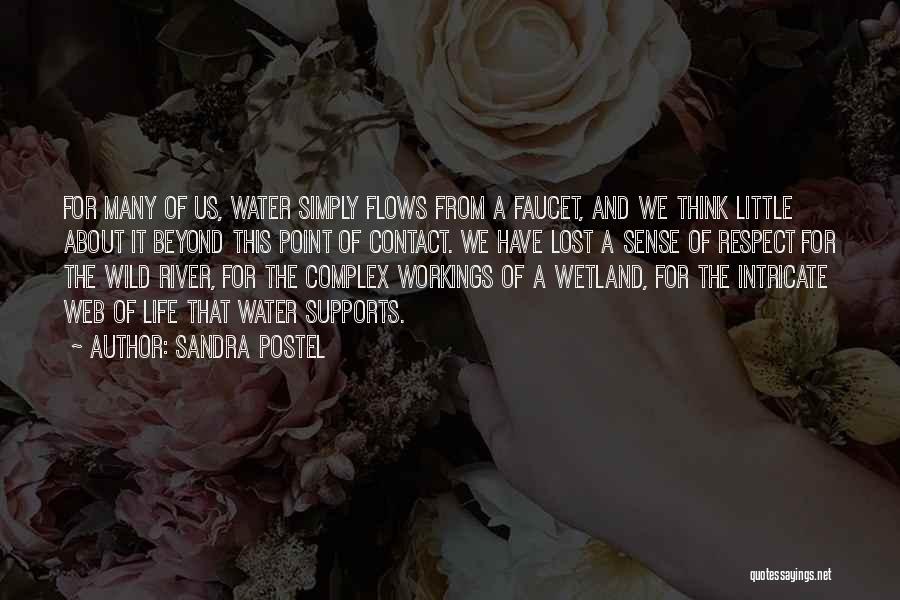 Complex Life Quotes By Sandra Postel