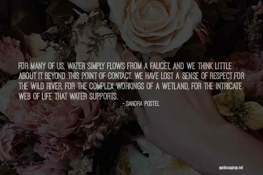 Complex Life Quotes By Sandra Postel