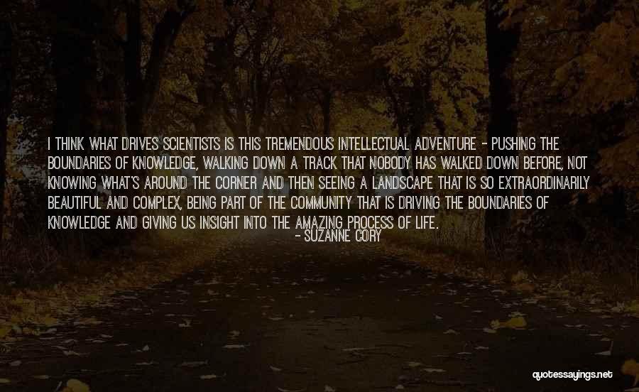 Complex Life Quotes By Suzanne Cory Complex Life Quotes By Suzanne Cory
