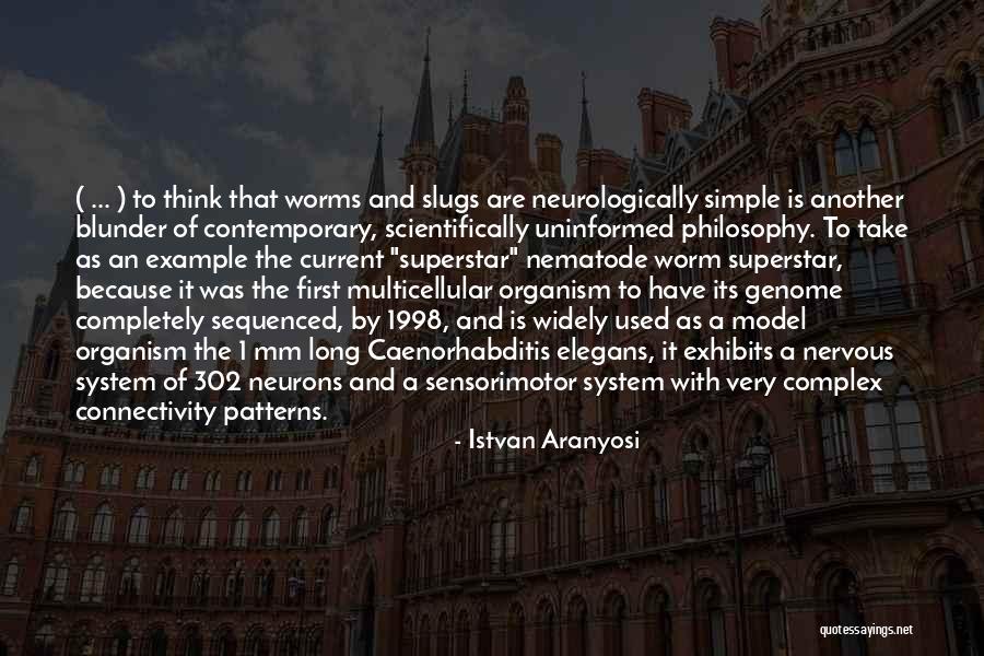 Complex Philosophy Quotes By Istvan Aranyosi