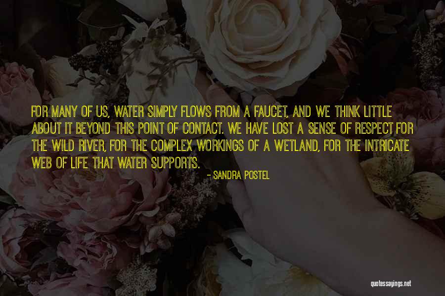 Complex Quotes By Sandra Postel