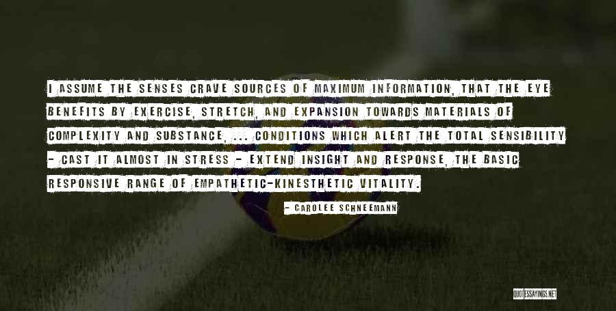 Complexity And Information Quotes By Carolee Schneemann Complexity And Information Quotes By Carolee Schneemann