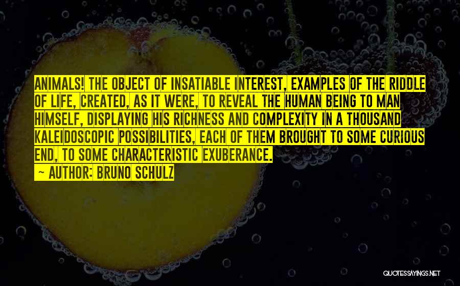 Complexity Of Human Quotes By Bruno Schulz