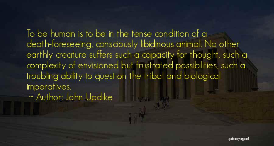 Complexity Of Human Quotes By John Updike