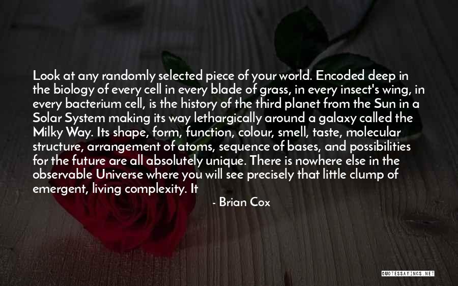 Complexity Of The Universe Quotes By Brian Cox Complexity Of The Universe Quotes By Brian Cox