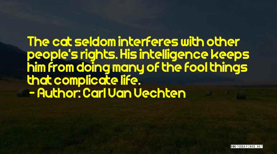 Complicate My Life Quotes By Carl Van Vechten