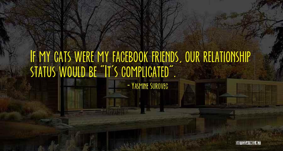 Complicated Relationship Quotes By Yasmine Surovec