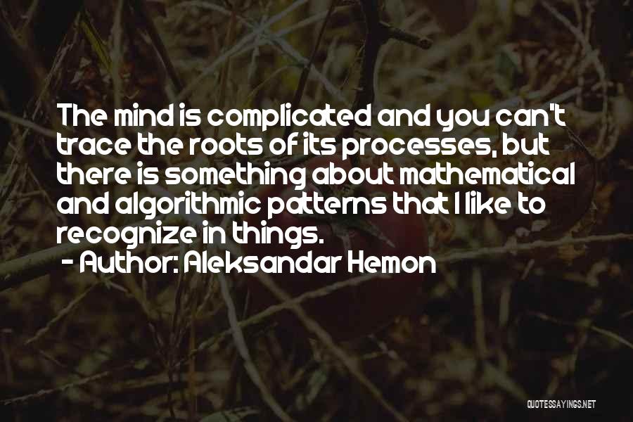 Complicated Things Quotes By Aleksandar Hemon