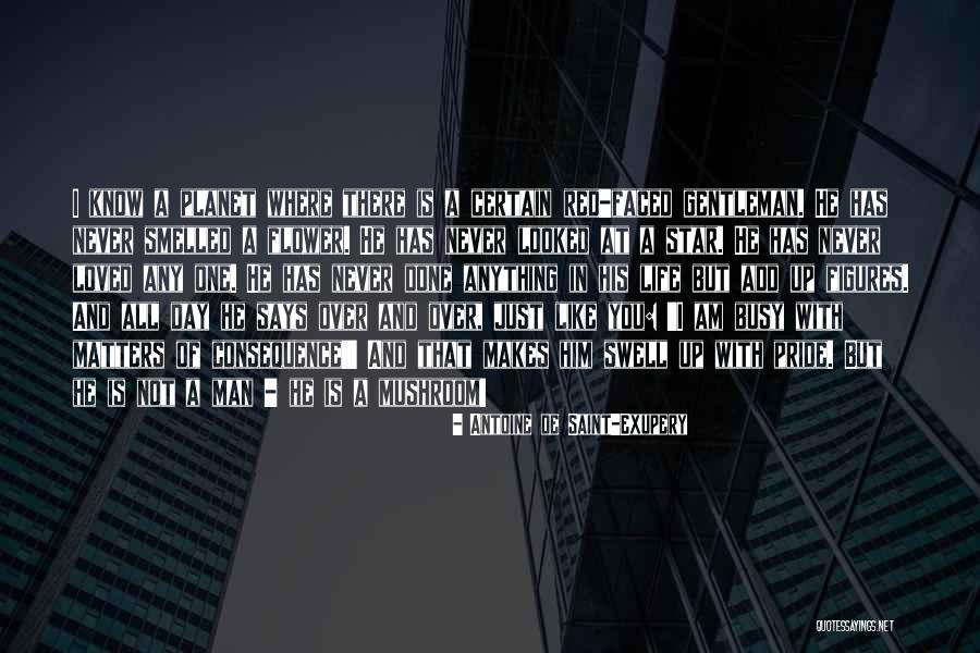 Complicidad En Quotes By Antoine De Saint-Exupery Complicidad En Quotes By Antoine De Saint-Exupery