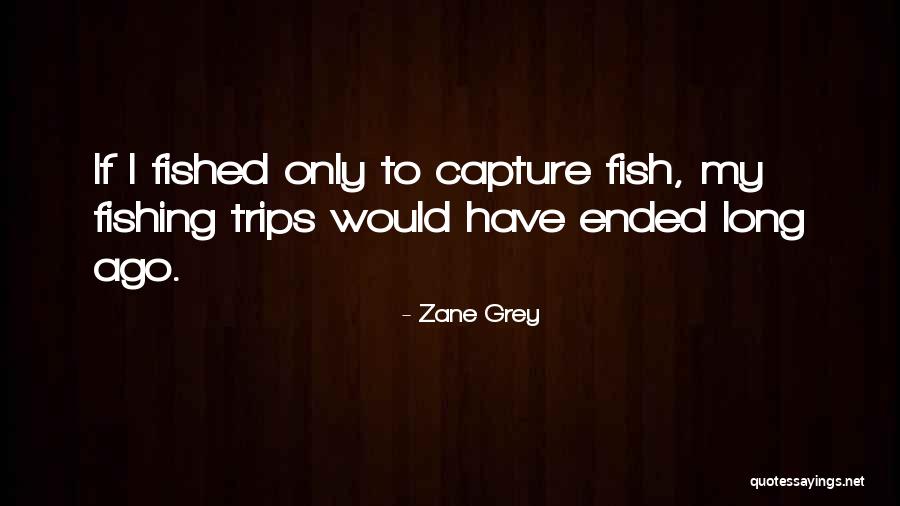 Compliments To Women Quotes By Zane Grey Compliments To Women Quotes By Zane Grey