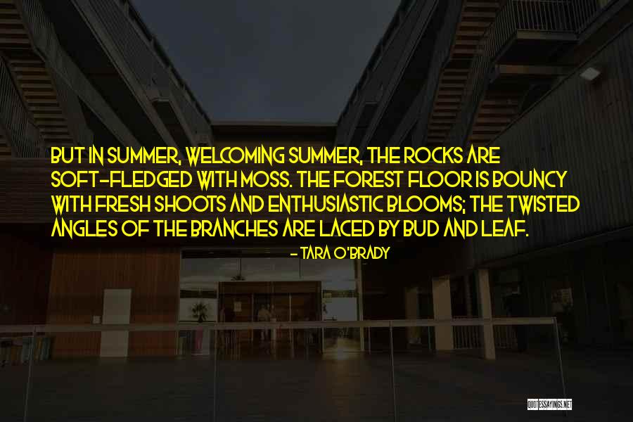 Componere Art Quotes By Tara O'Brady Componere Art Quotes By Tara O'Brady