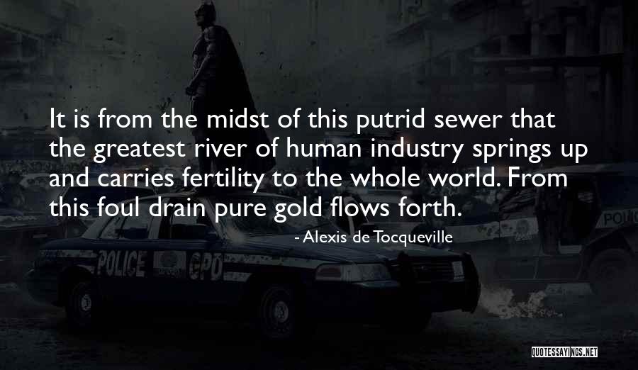 Comportamentul Organizational Quotes By Alexis De Tocqueville Comportamentul Organizational Quotes By Alexis De Tocqueville