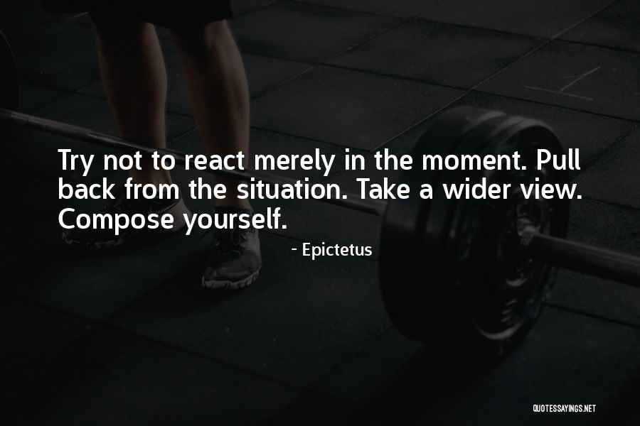 Compose Yourself Quotes By Epictetus