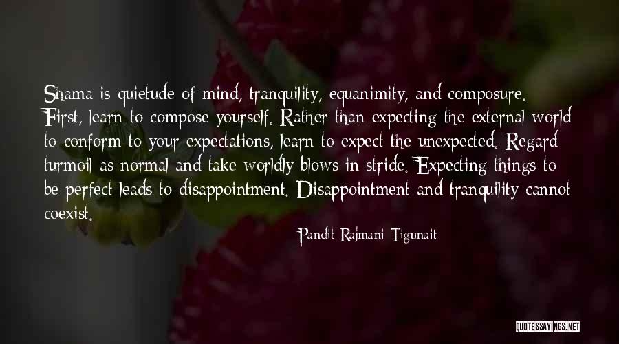 Compose Yourself Quotes By Pandit Rajmani Tigunait