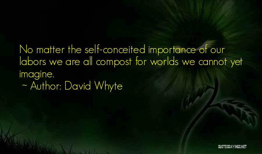 Compost Quotes By David Whyte