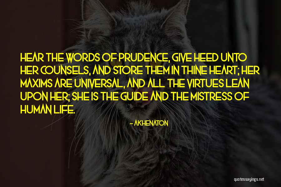 Composted Bark Quotes By Akhenaton Composted Bark Quotes By Akhenaton