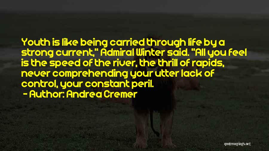 Comprehending Life Quotes By Andrea Cremer