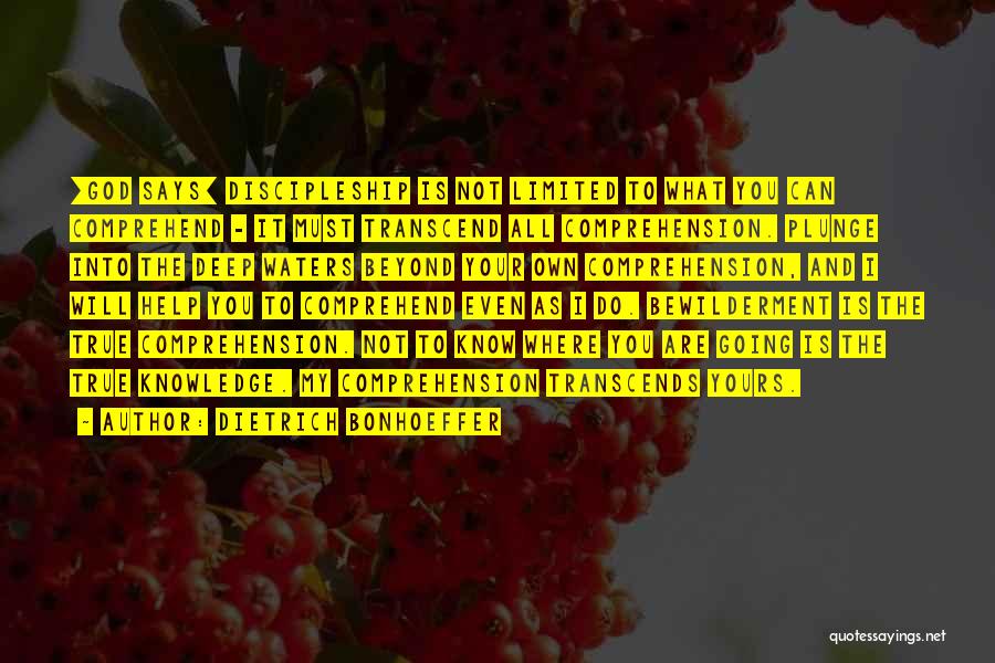 Comprehension Quotes By Dietrich Bonhoeffer