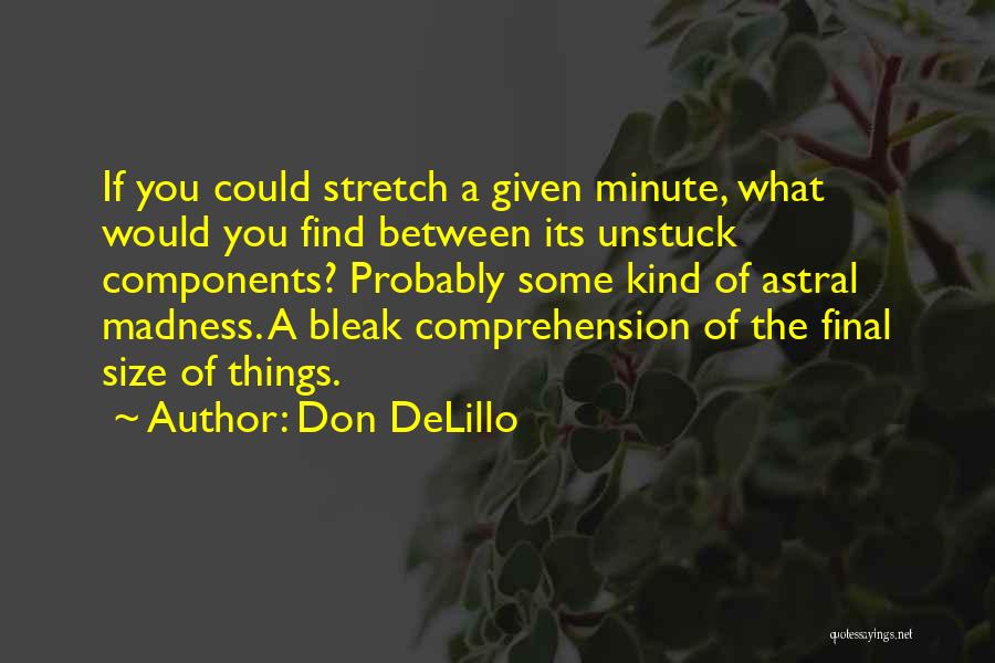 Comprehension Quotes By Don DeLillo