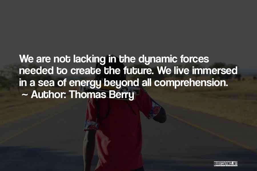 Comprehension Quotes By Thomas Berry